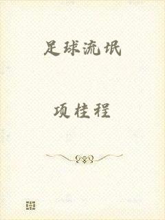 足球流氓