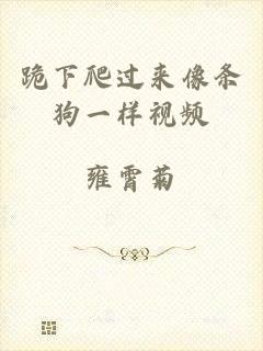 跪下爬过来像条狗一样视频