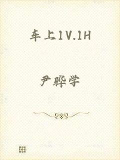 车上1V.1H