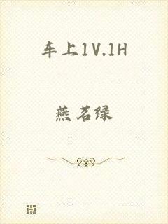 车上1V.1H