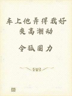车上他弄得我好爽高潮动