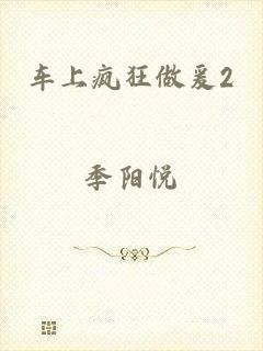 车上疯狂做爰2