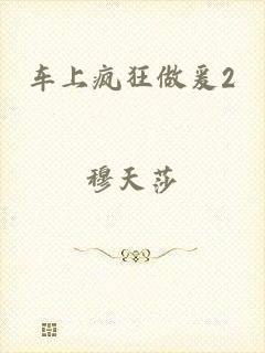 车上疯狂做爰2