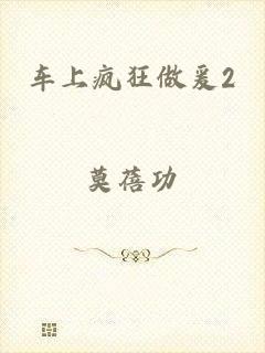 车上疯狂做爰2