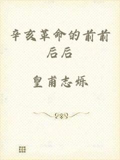 辛亥革命的前前后后