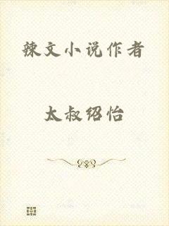 辣文小说作者