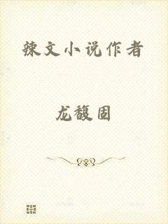 辣文小说作者