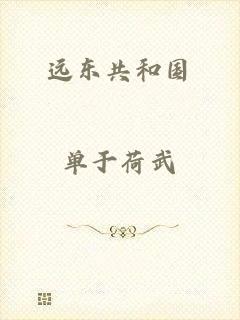 远东共和国