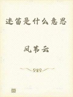 迷笛是什么意思