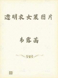 透明衣女装图片