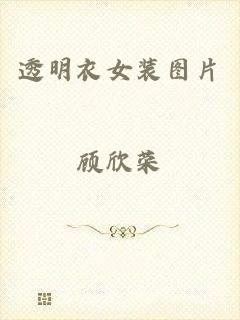 透明衣女装图片