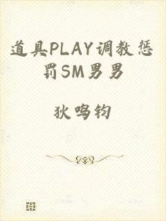 道具PLAY调教惩罚SM男男