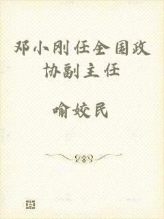 邓小刚任全国政协副主任