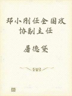 邓小刚任全国政协副主任