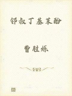 邻叔丁基苯酚