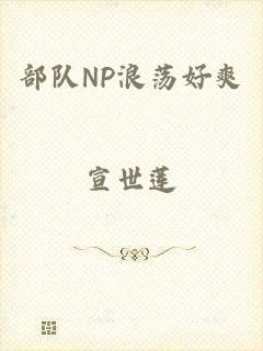 部队NP浪荡好爽