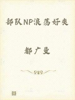 部队NP浪荡好爽