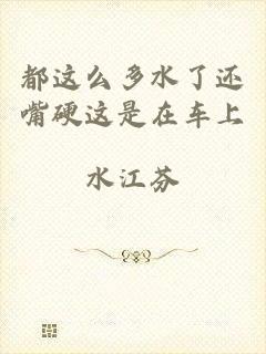 都这么多水了还嘴硬这是在车上
