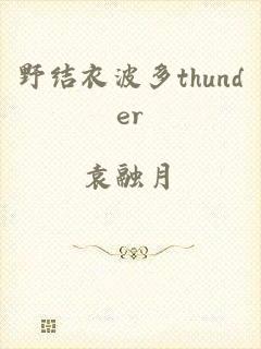 野结衣波多thunder