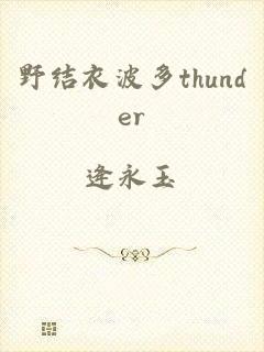 野结衣波多thunder