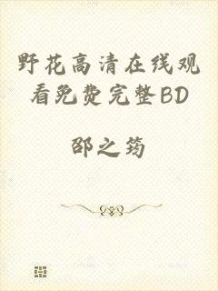 野花高清在线观看免费完整BD