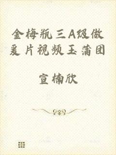 金梅瓶三A级做爰片视频玉蒲团