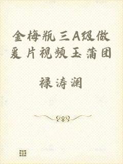 金梅瓶三A级做爰片视频玉蒲团