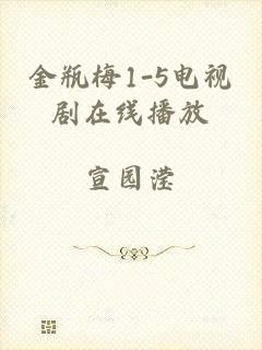 金瓶梅1-5电视剧在线播放