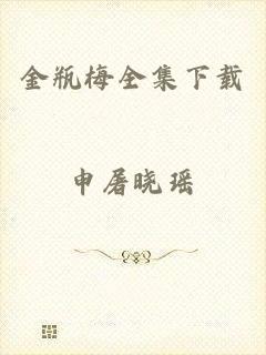 金瓶梅全集下载