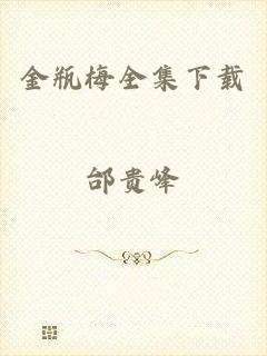 金瓶梅全集下载