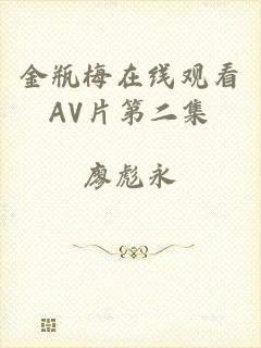 金瓶梅在线观看AV片第二集