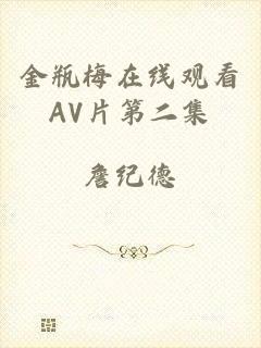 金瓶梅在线观看AV片第二集