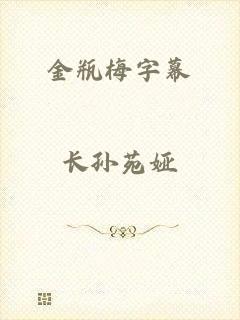 金瓶梅字幕
