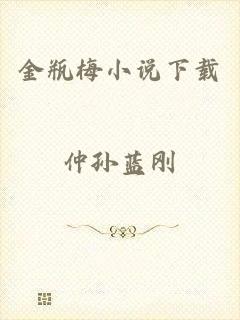 金瓶梅小说下载