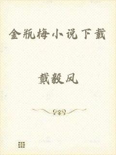 金瓶梅小说下载