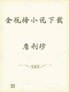 金瓶梅小说下载