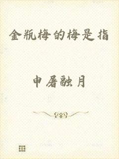 金瓶梅的梅是指