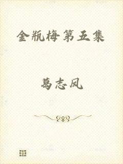 金瓶梅第五集