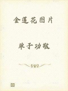 金莲花图片