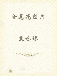 金莲花图片