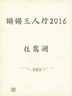 锵锵三人行2016