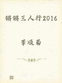 锵锵三人行2016