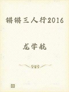 锵锵三人行2016