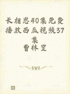 长相思40集免费播放西瓜视频37集