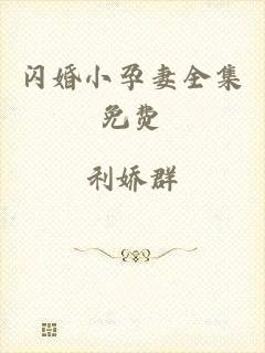 闪婚小孕妻全集免费