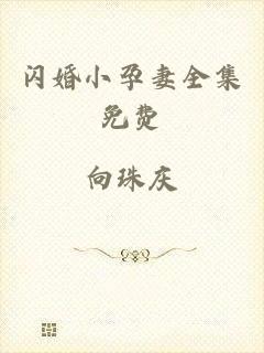 闪婚小孕妻全集免费