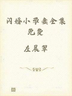 闪婚小孕妻全集免费