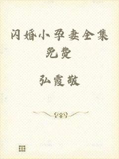 闪婚小孕妻全集免费