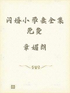 闪婚小孕妻全集免费