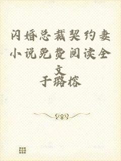 闪婚总裁契约妻小说免费阅读全文